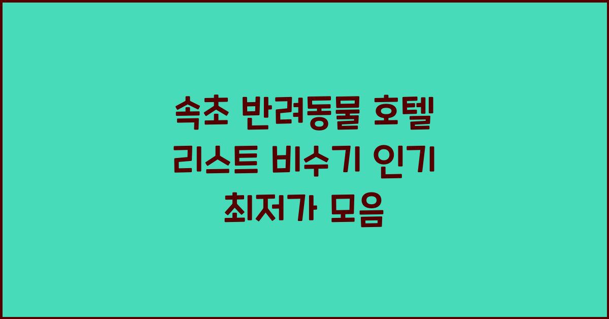 속초 반려동물 호텔 리스트 비수기