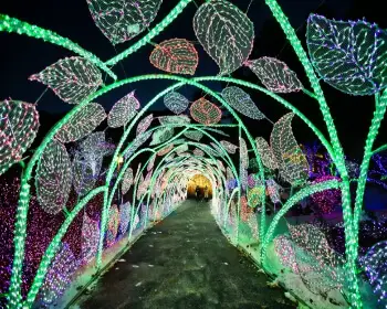 아침고요수목원_29