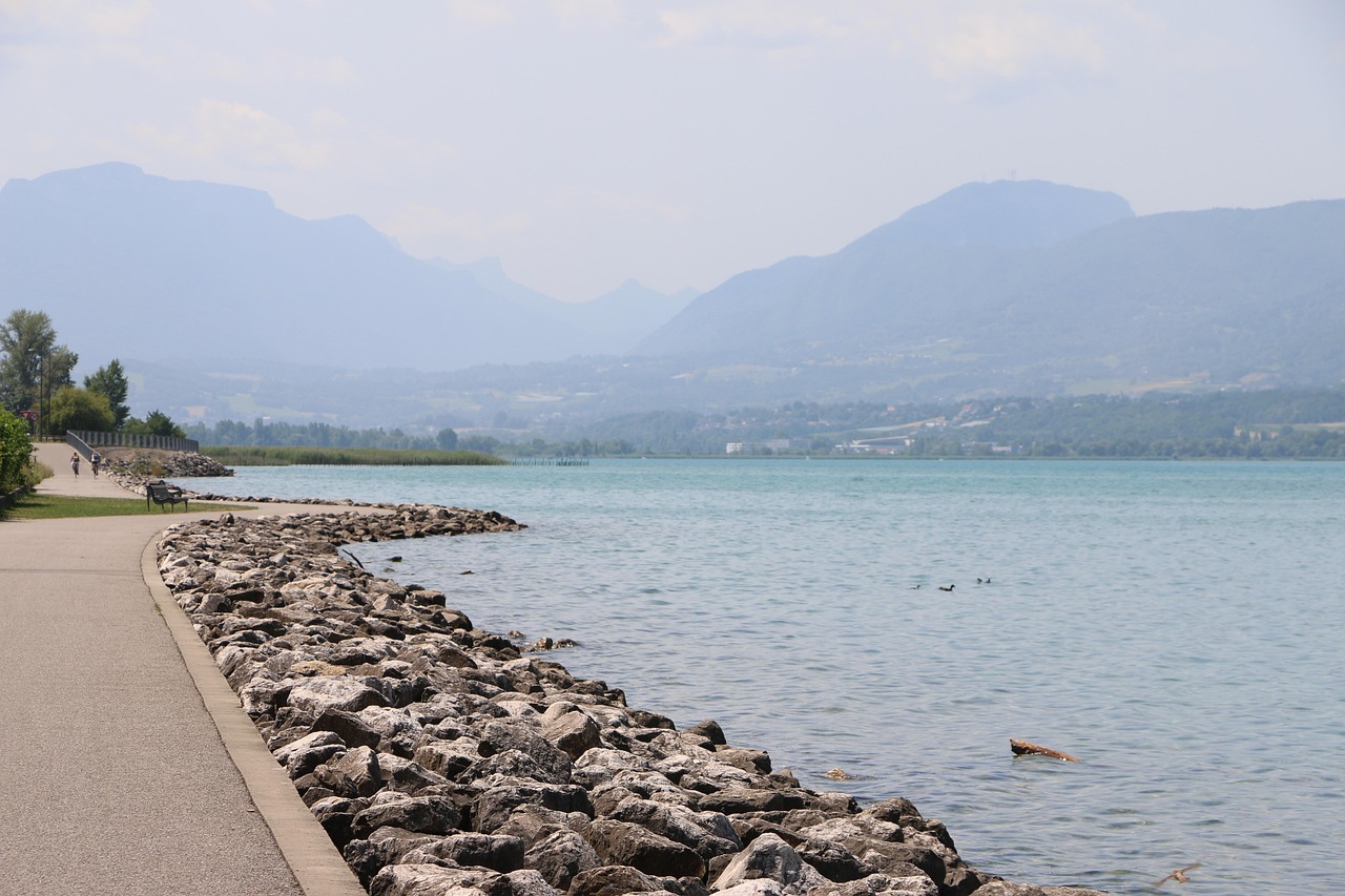 KT 유심 무상 교체