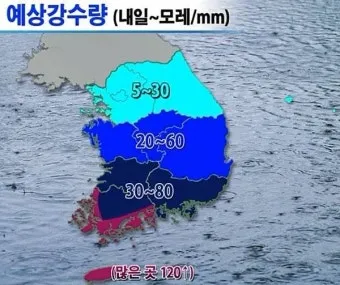전국 예보 기온 변화 옷장 정리 보관 세탁 순서_14