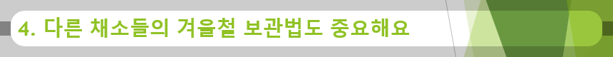 4. 다른 채소들의 겨울철 보관법도 중요해요