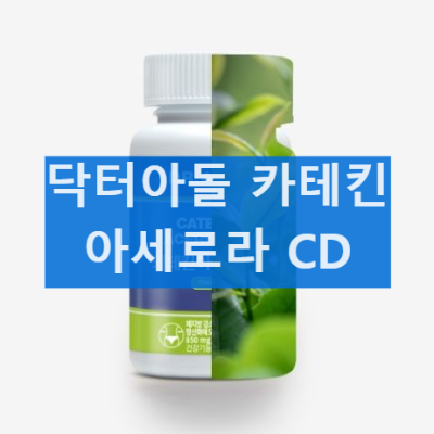 카테킨 아세로라로 체지방 줄이기! 효능과 올바른 섭취방법
