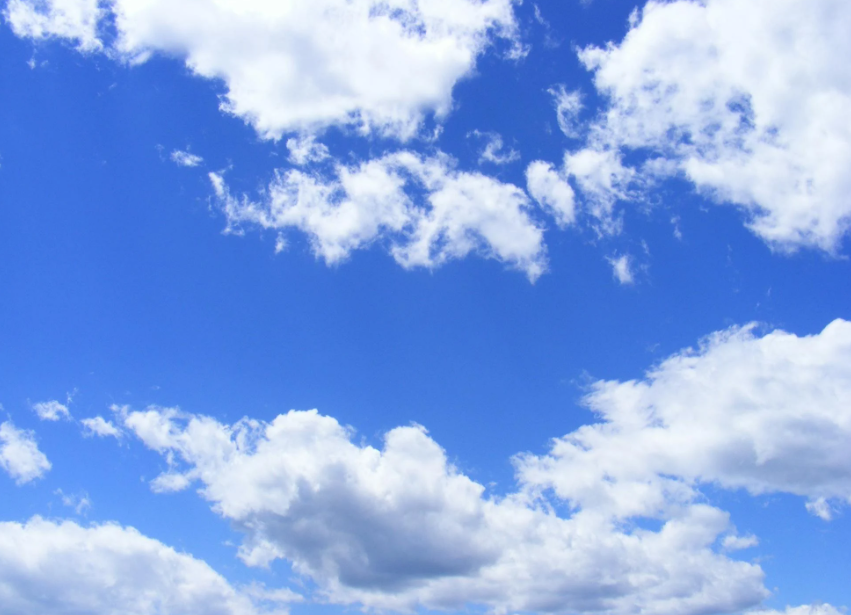 무료로 취득 가능한 구글 자격증 추천! 커리어에 바로 적용 가능한 TOP 5