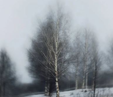 2024청소년동계올림픽