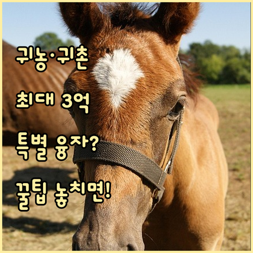 귀농·귀촌 정착 지원 특별융자 최대 ..