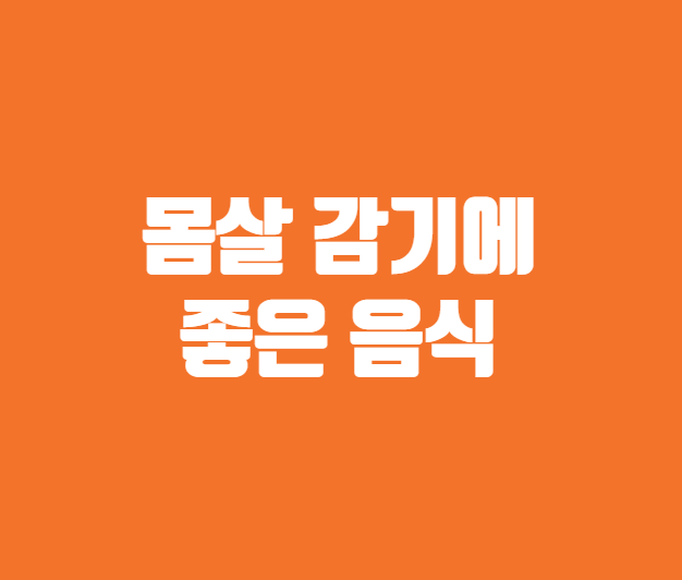 몸살 감기에 좋은 음식