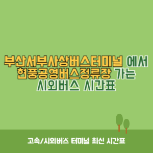 부산서부사상버스터미널에서 현풍공영버스정류장&nbsp;가는 시외버스 시간표 최신정보