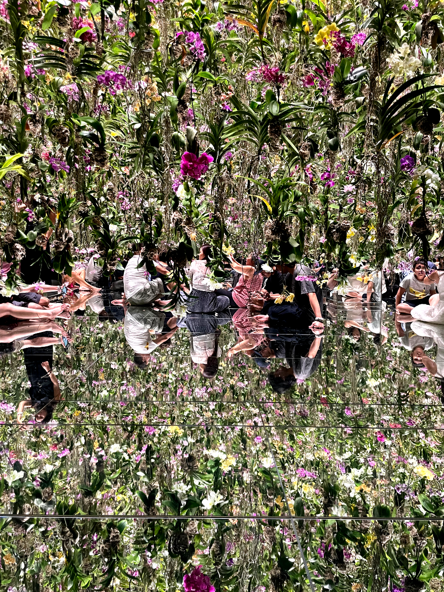 팀랩플래닛 관람 꽃과 나와 하나의 뿌리, 정원은 나와 하나의 몸