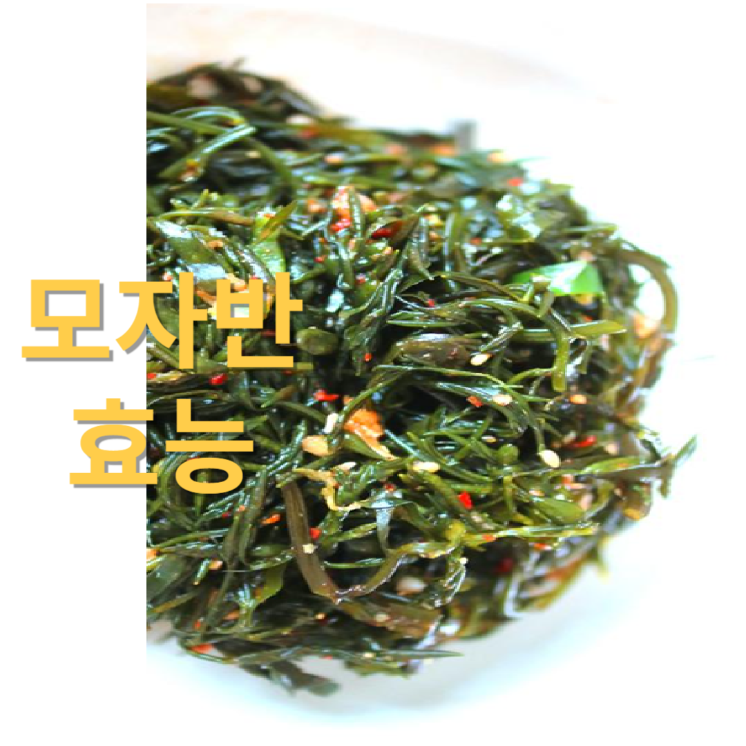 2월 제철음식 모자반 알아보기