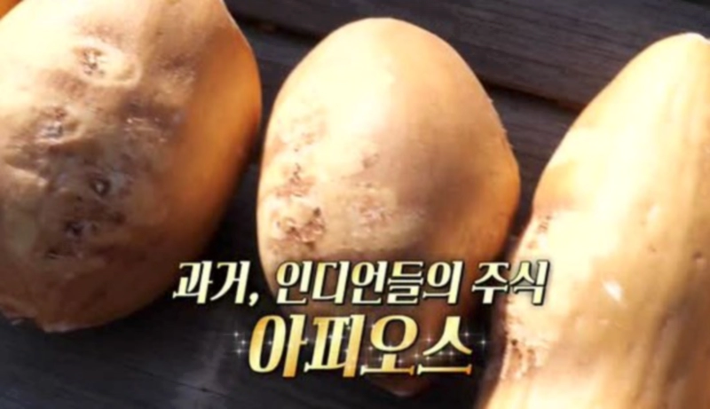 아피오스 먹는법 및 요리