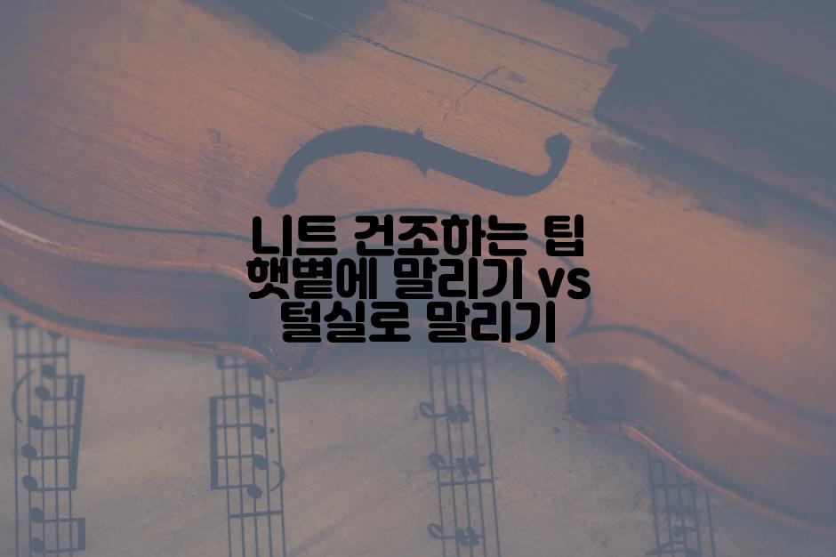 니트 건조하는 팁 햇볕에 말리기 vs 털실로 말리기
