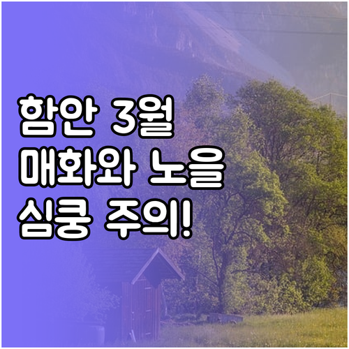 경남 함안 3월 여행지 추천 무진정 ..