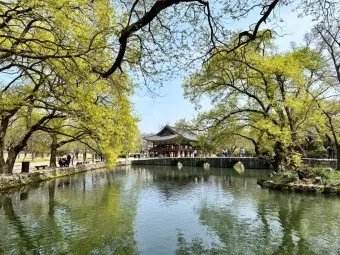 남원 가볼만한곳 베스트10 맛집 여행코스_2