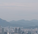 서울시 청년