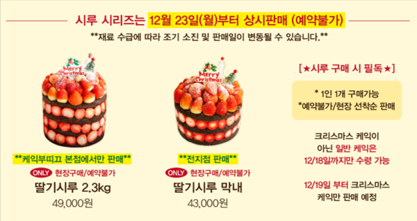 성심당 딸기시루 케이크 정보