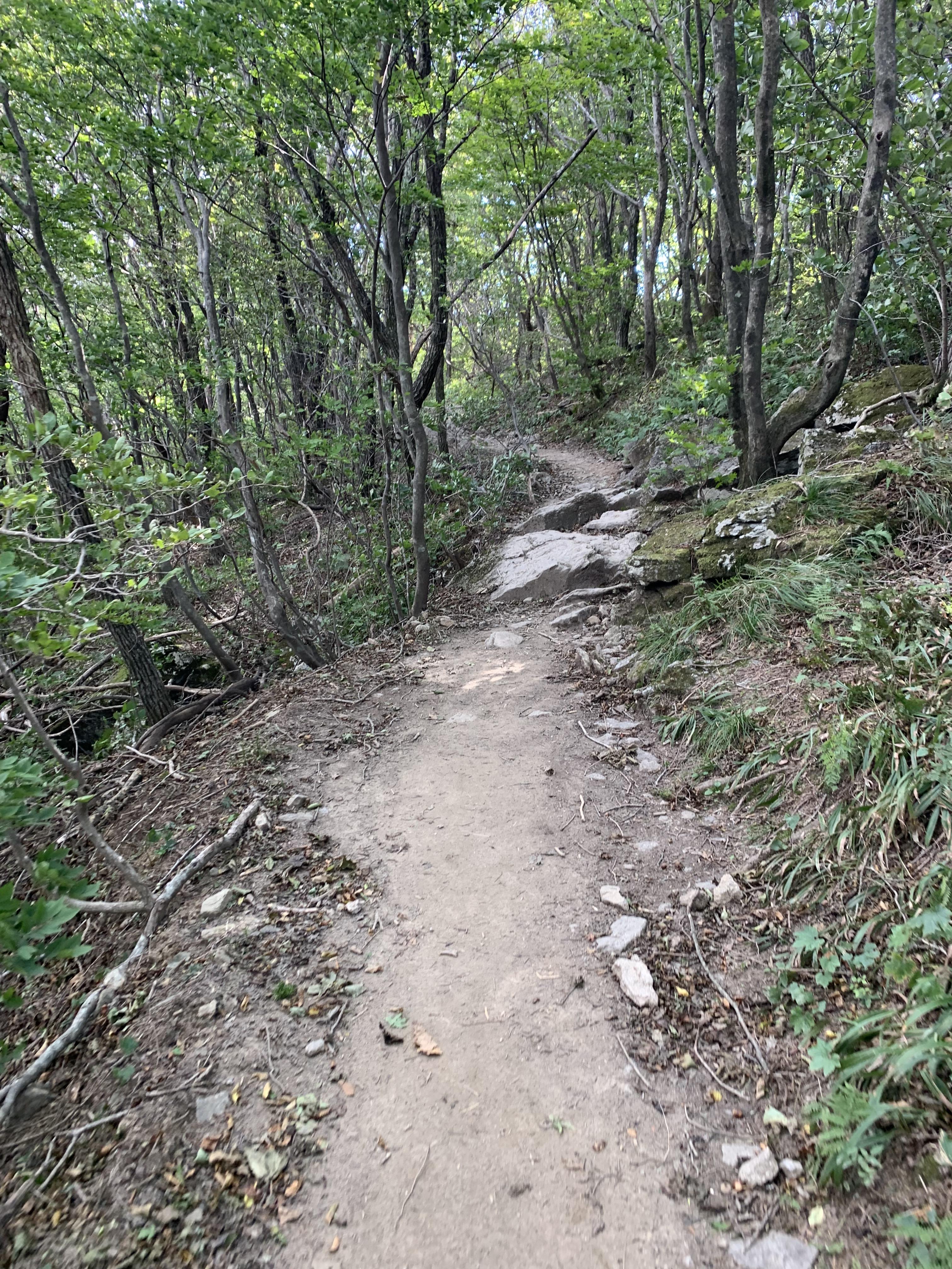 지리산 피아골삼거리