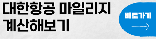 대한항공 마일리지 계산해 보기