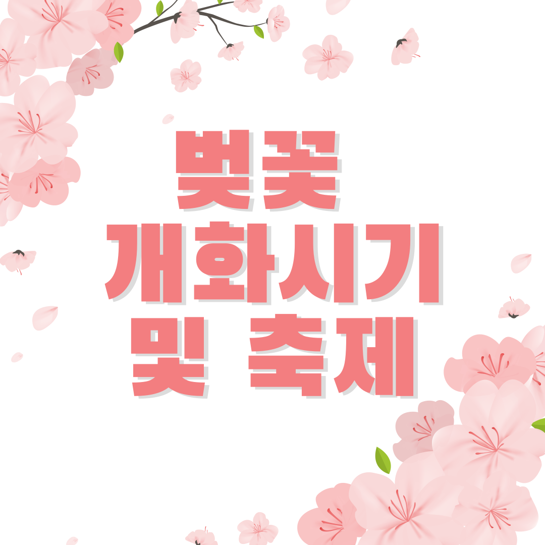 벚꽃 개화 시기 2024 축제 데이터 개화일 온도 만개