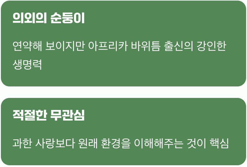 1. 까다로운 요정님? NO! (의외의 순둥이)