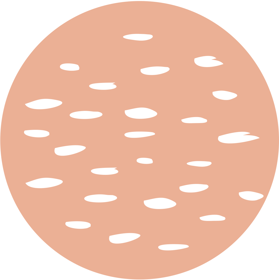 인스타 스토리 하이라이트