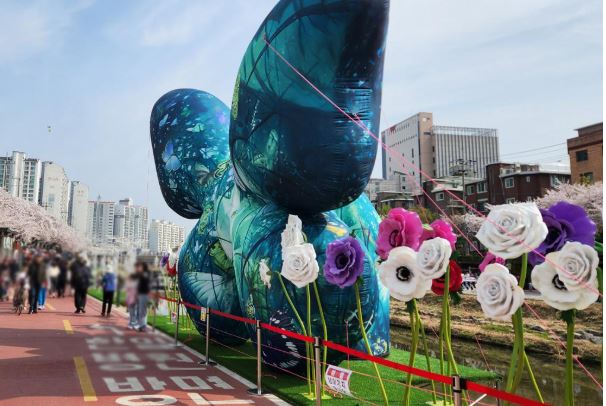 도봉구 벚꽃