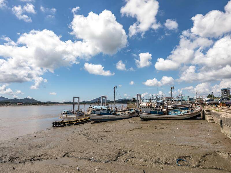 경기도 바다 김포 대명항