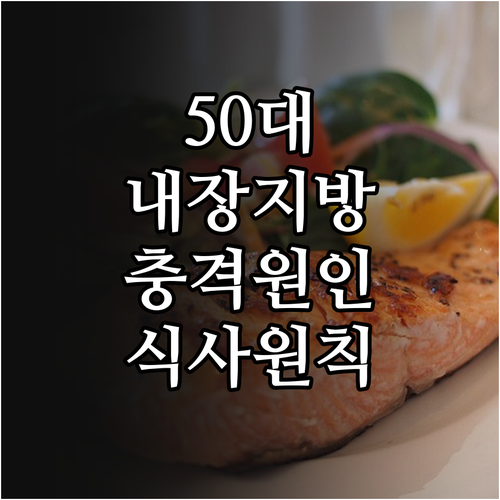 50대 남성 내장지방 원인과 효과적인..