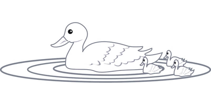 물에- 떠있는-오리