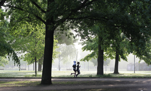 J로 시작하는 단어