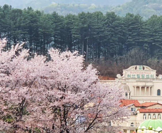 포천 허브 아일랜드