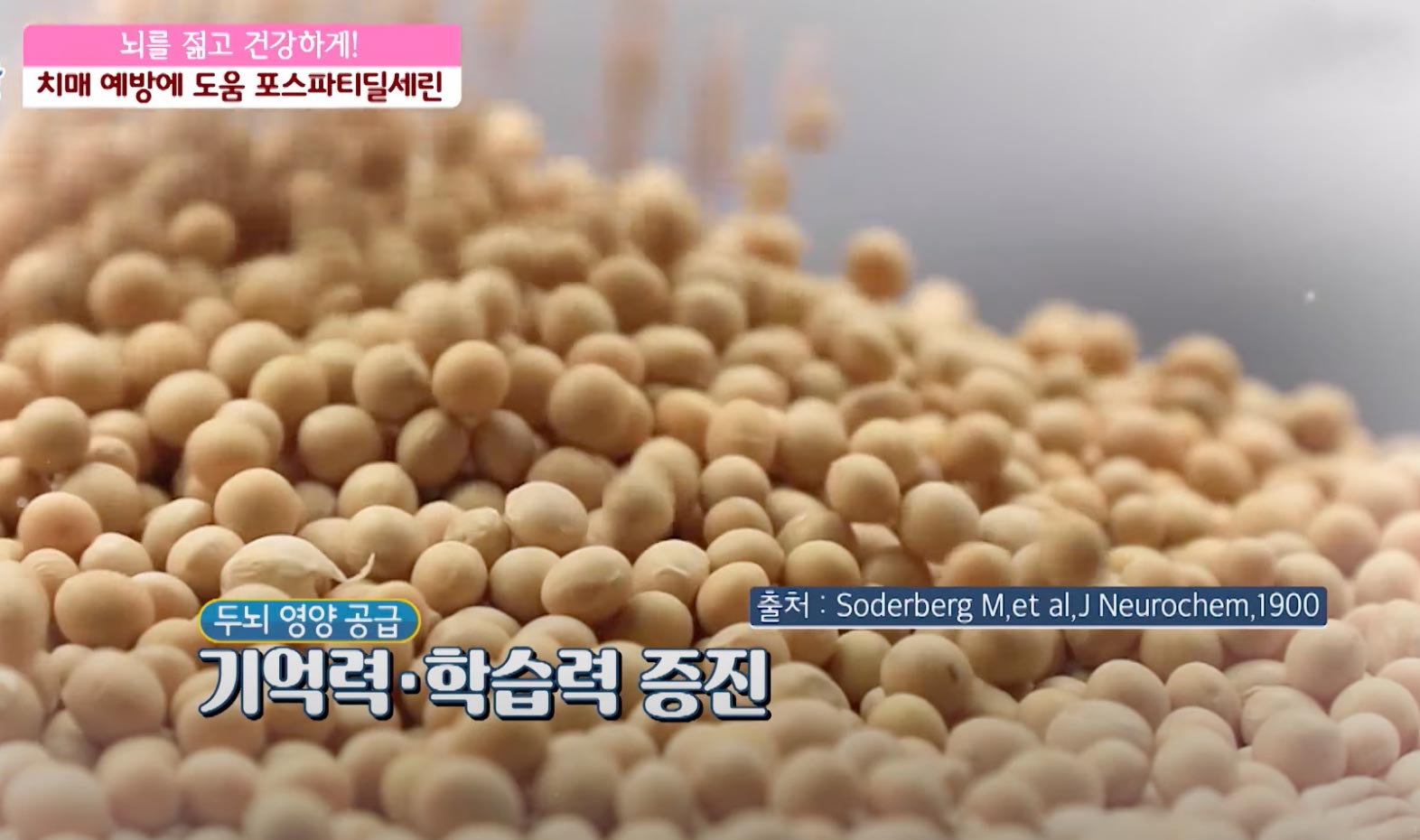 포스파티딜세린 가루 분말 효능