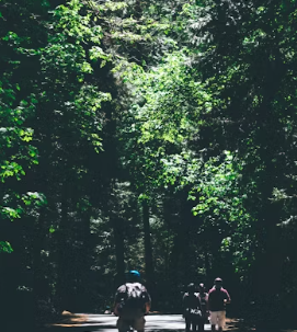 국립자연휴양림 예약통합시스템 국립자연휴양림 예약방법