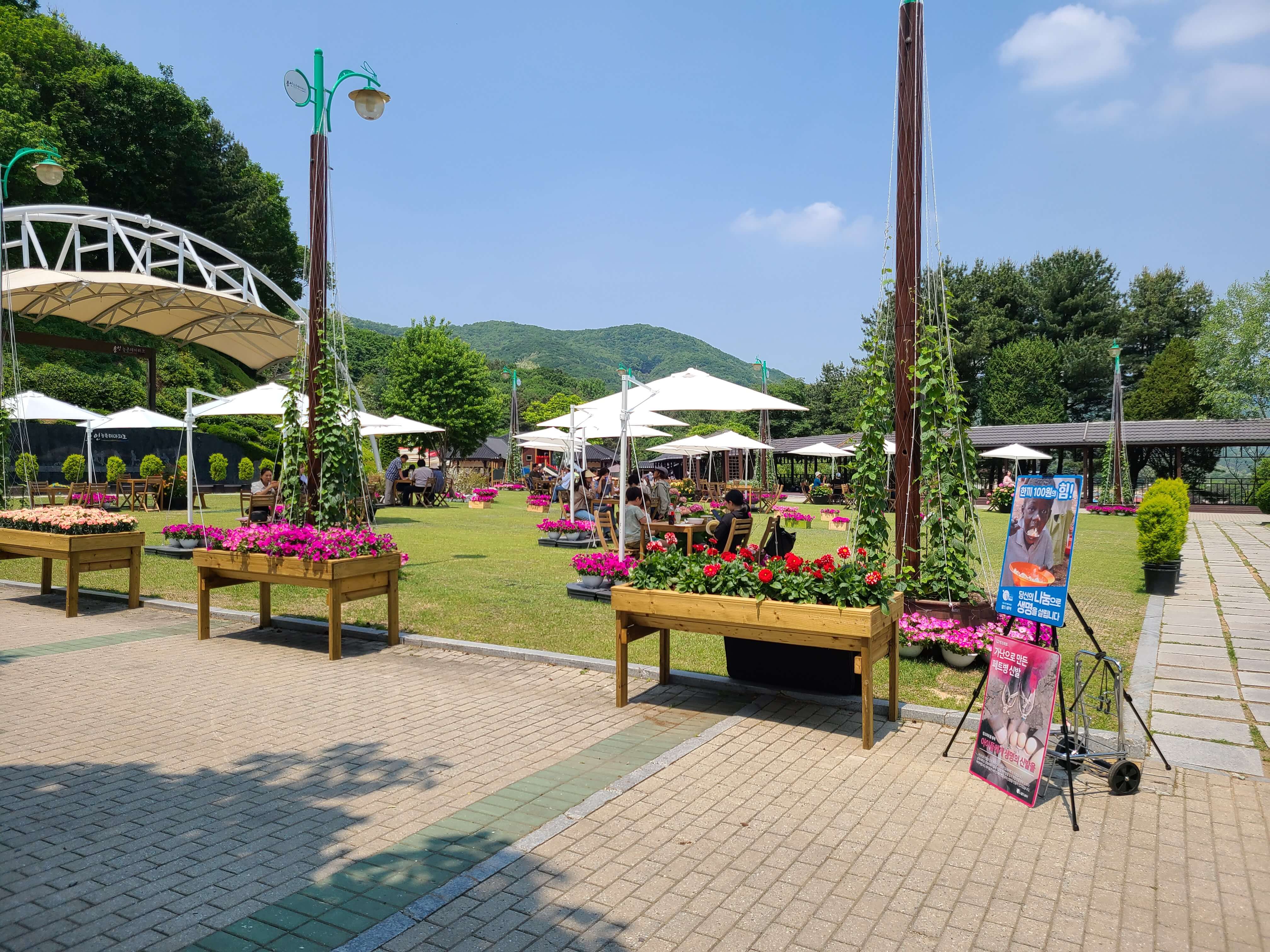 용인 농촌테마파크 잔디밭