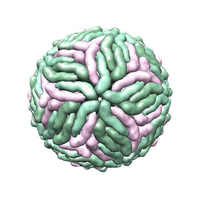 해외 여행 뒤 뎅기열 증상이 의심 될 때 아스피린 복용 금지