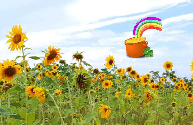 청년기본소득-2023-신청