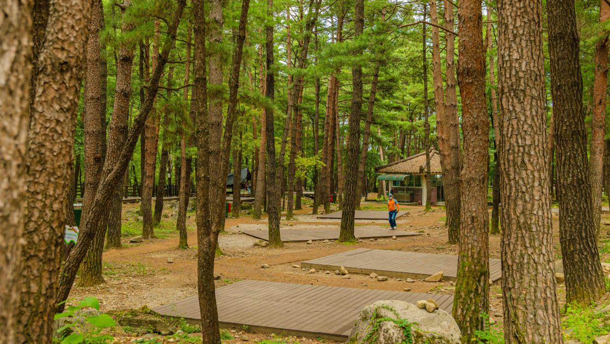 동해시 무릉계곡힐링캠핑장 소개