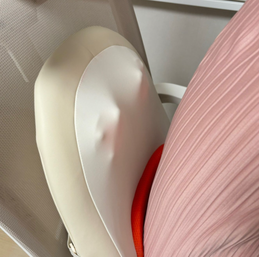 스파알 포터블 허리 마사지기