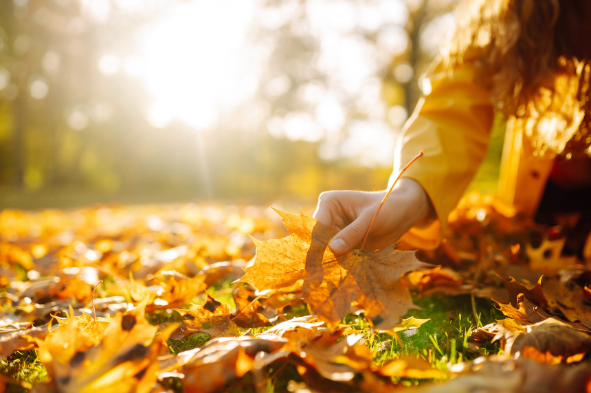 계절의 변화를 세분화한 24 절기 중 '상강' 이해하기