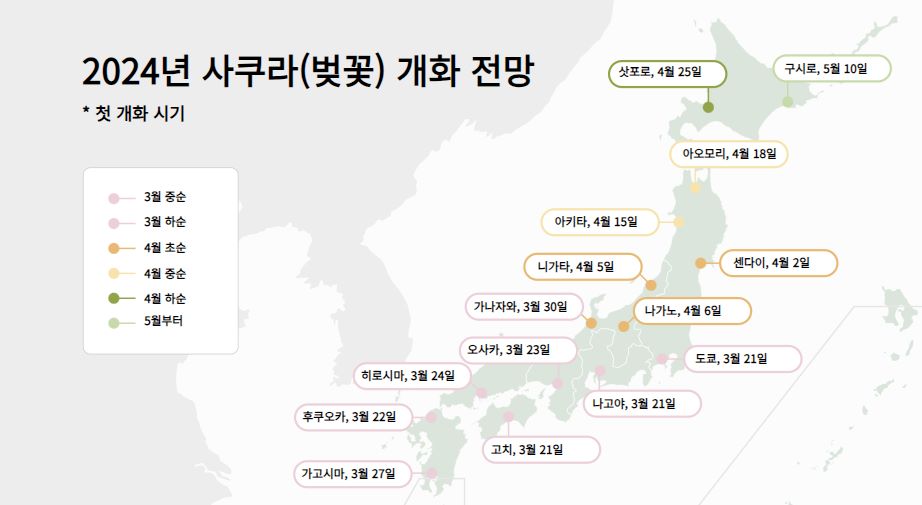 일본-벚꽃-4월-여행