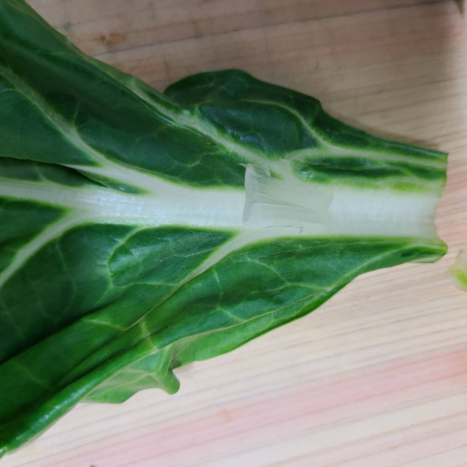 근대국 섬유질 제거하는 방법 근대나물 손질하는 법