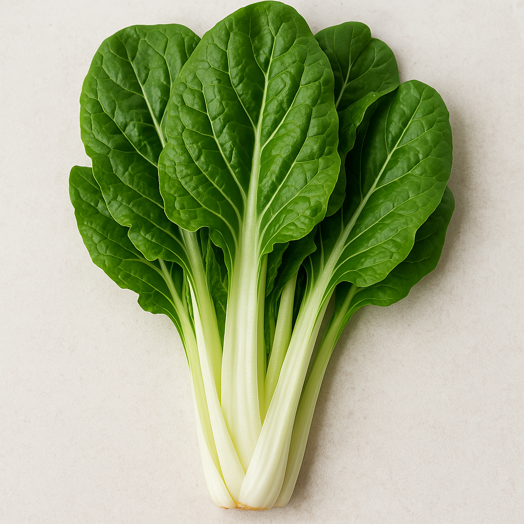 청근대, 아삭한 식감과 풍부한 영양이 가득한 채소!