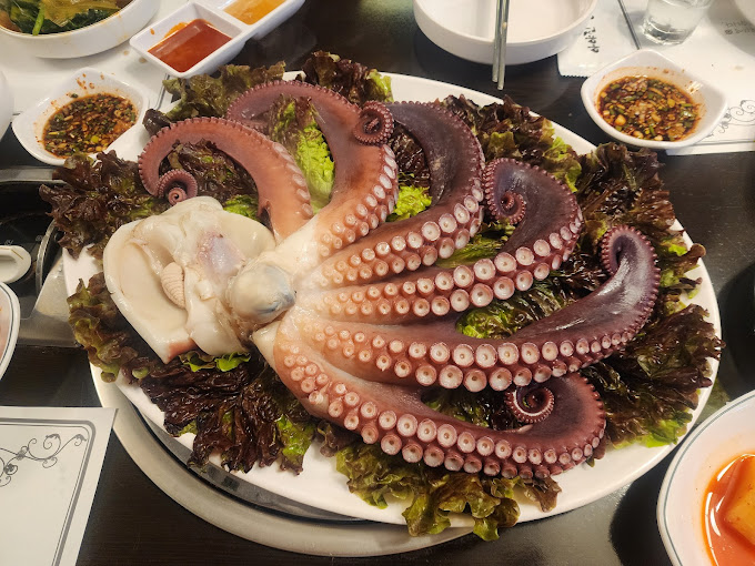 강남 삼성동 생태찌게 '아야진생태찌개'