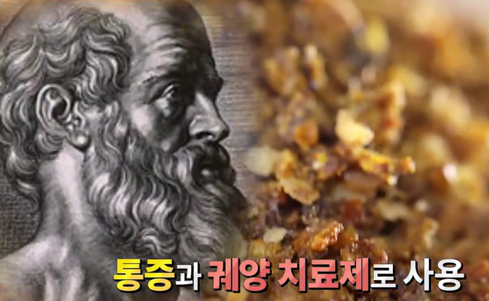 프로폴리스 효능