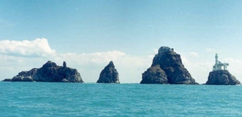 2025 부산온나청년패스 신청방법 및 할인혜택 총정리