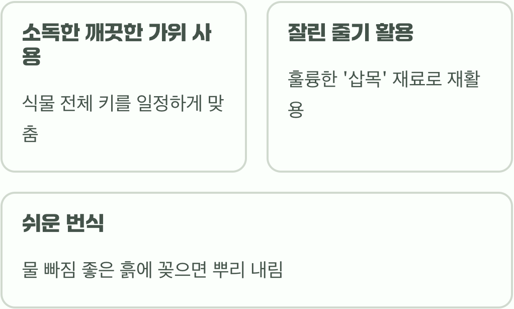어떻게 잘라야 할까? (실전 팁)