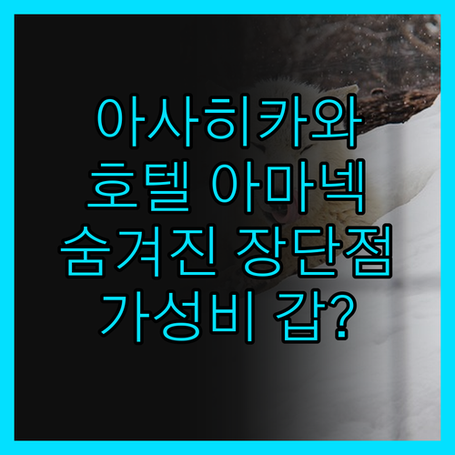 아사히카와 호텔 아마넥, 가성비 갑?