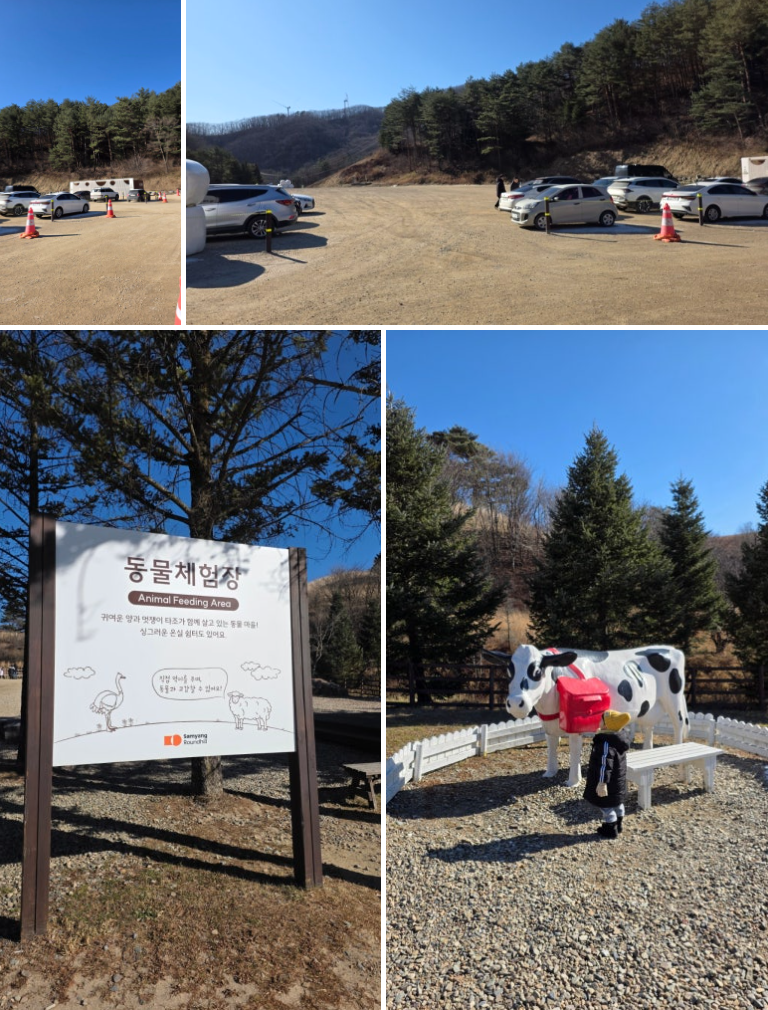 5세 아이와 함께한 대관령 삼양라운드힐