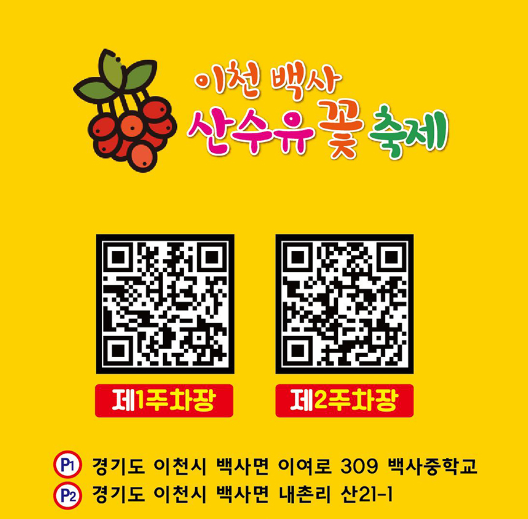 2025 이천백사 산수유꽃 축제 총정리