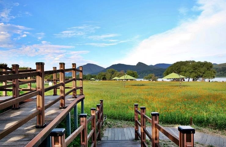 남양주 물의 정원 완벽 가이드: 북한강변에서 만나는 수생식물과 계절 꽃의 향연