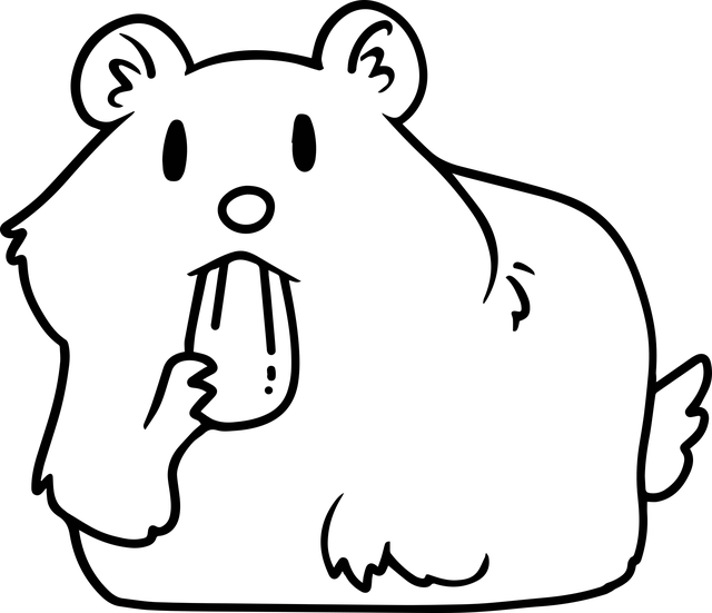 햄스터 키우기 준비물